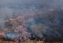 Pantanal tem maior quantidade de focos de incêndio desde o início de pesquisas