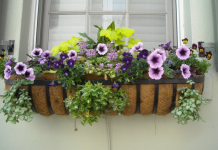 10 maneiras acessíveis de praticar o autocuidado durante o COVID horta caseira para auto cuidado