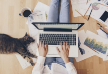 Dicas para iniciar um trabalho home office trabalho em casa home office