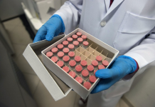 Vacina de Oxford: desenvolvimento e resultados da vacina contra Covid-19