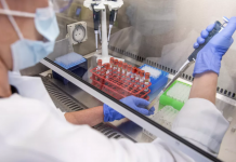 Idosos apresentaram resposta imune em testes da vacina de Oxford