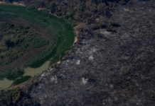 Ibama ordena a retomada de brigadistas ao incêndios no Pantanal
