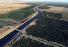 Os futuros da água da Califórnia começam a ser negociados à medida que aumentam os temores de escassez